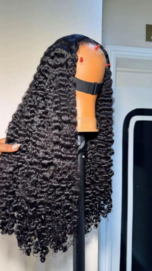 Burmese Curl